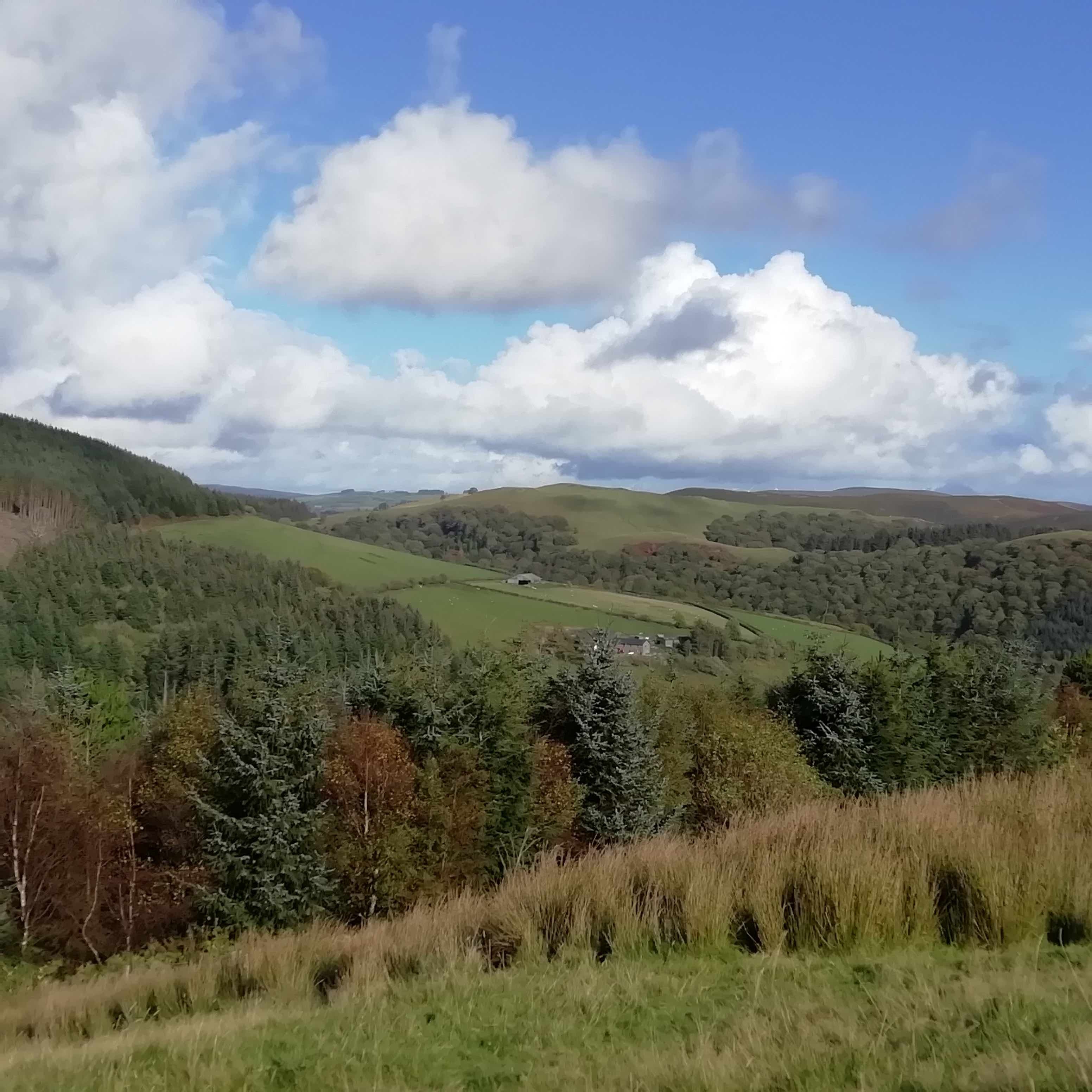 View of Llwyn-onn from Llywy Hill